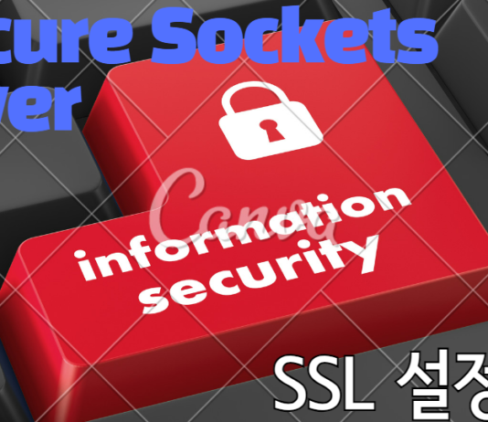 정보보안 소켓계층-SSL(Secure Sockets Layer) SSL 설정하기