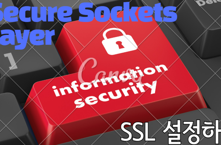 SSL 설정하기